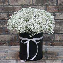 Цветочная композиция из Гипсофила в шляпной коробке в Татищево